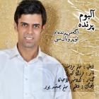 دانلود فول آلبوم پرنده از احسان شماعی زاده