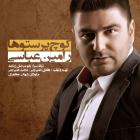 دانلود فول آلبوم کوچ پرستوها از رامین عباسی