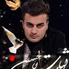دانلود آهنگ های زیبای فول آلبوم تک ترانه ها از سعید پیران