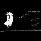 دانلود آهنگ های زیبای فول آلبوم تک ترانه ها از شبیر