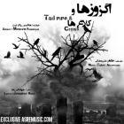 دانلود فول آلبوم اگزوزها و کلاغ ها از محسن پاک نیت