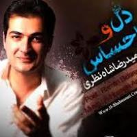 دانلود آهنگ های زیبای فول آلبوم تک ترانه ها از حمیدرضا شاه نظری