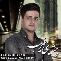 دانلود آهنگ های زیبای فول آلبوم تک ترانه ها از فرشید کیان