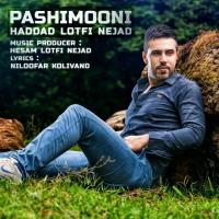 دانلود آهنگ های زیبای فول آلبوم تک ترانه ها از حداد لطفی نژاد