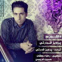 دانلود آهنگ های زیبای فول آلبوم تک ترانه ها از پرویز قدرتی