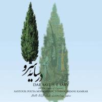 دانلود فول آلبوم در سایه سرو از پویا محمدی