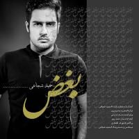دانلود آهنگ های زیبای فول آلبوم تک ترانه ها از حمید شجاعی
