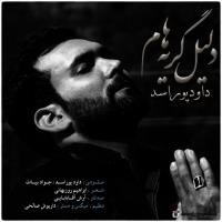 دانلود آهنگ های زیبای فول آلبوم تک ترانه ها از داود پوراسد