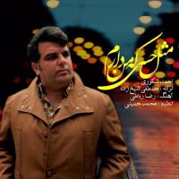 دانلود آهنگ های زیبای فول آلبوم تک ترانه ها از احمد شکوری
