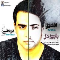 دانلود آهنگ های زیبای فول آلبوم تک ترانه ها از مرتضی و افشین رحیمی نیا