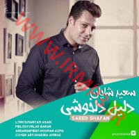 دانلود آهنگ های زیبای فول آلبوم تک ترانه ها از سعید شایان