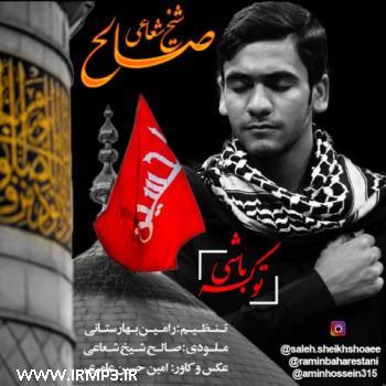 دانلود آهنگ های زیبای فول آلبوم تک ترانه ها از صالح شیخ شعاعی