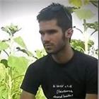 دانلود تمامی فول آلبوم های سینا گلزار