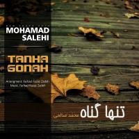 دانلود تمامی فول آلبوم های محمد صالحی