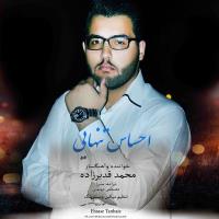 دانلود تمامی فول آلبوم های محمد قدیرزاده