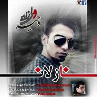 دانلود تمامی فول آلبوم های وحید ولیزاده