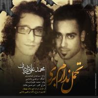 دانلود تمامی فول آلبوم های محمد علی نژادیان