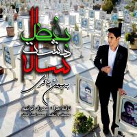 دانلود تمامی فول آلبوم های بهمن باقری