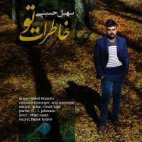 دانلود تمامی فول آلبوم های سهیل حسینی