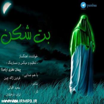 دانلود تمامی فول آلبوم های پیمان نظری