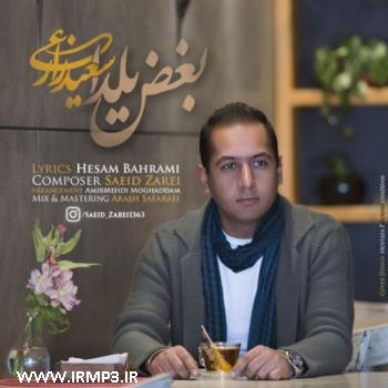 دانلود تمامی فول آلبوم های سعید زارعی