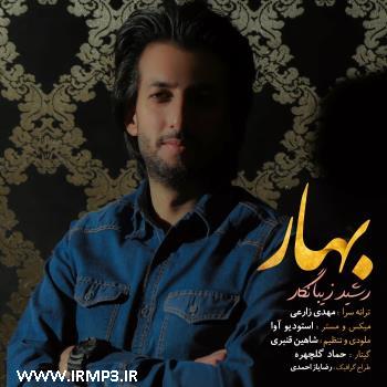 دانلود تمامی فول آلبوم های رشید زیبانگار