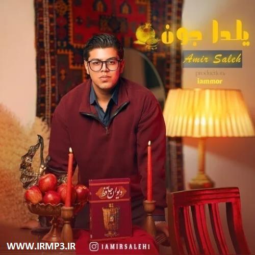 دانلود تمامی فول آلبوم های امیر صالح